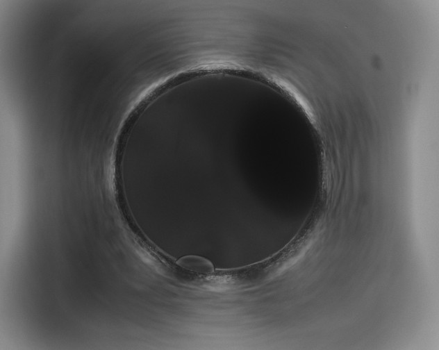 X0000114190391200910161209