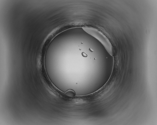 X0000114190392200910161209