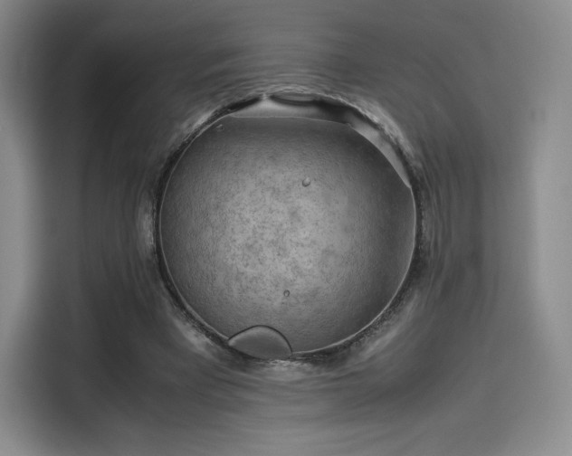 X0000114190393200910161209