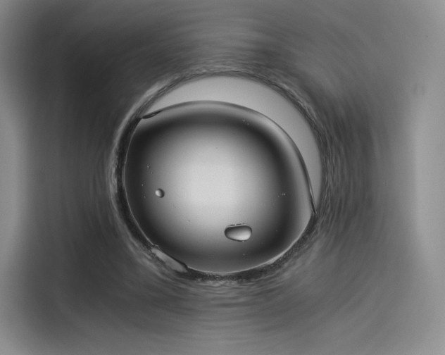 X0000114190395200910161209