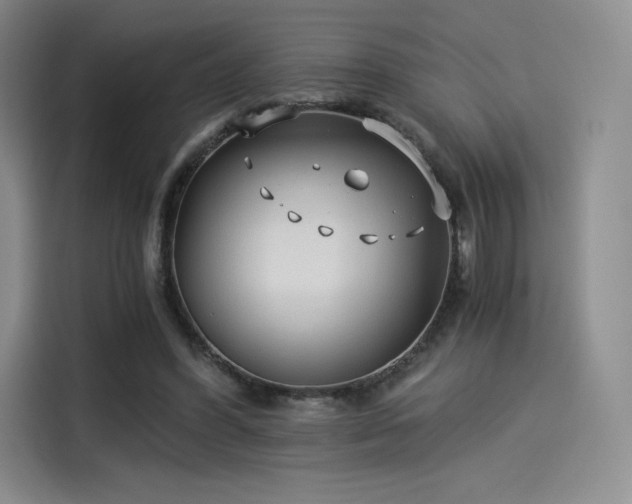 X0000114190396200910161209