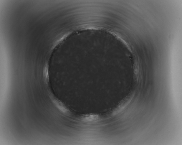 X0000114190398200910161209