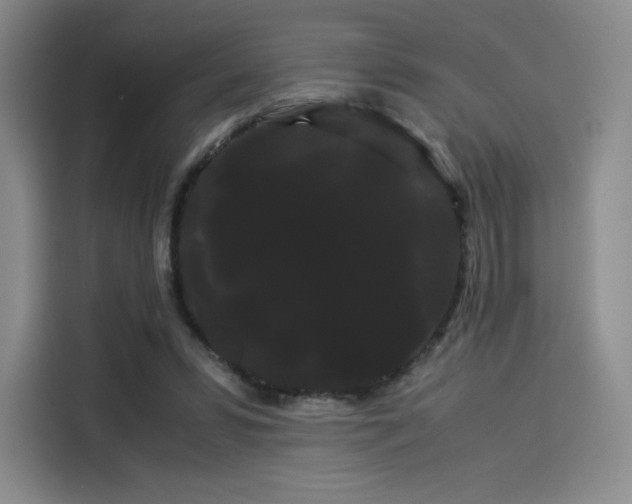 X0000114190399200910161209