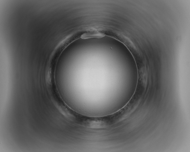 X0000114190400200910161209