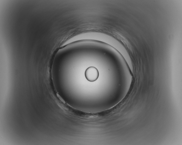 X0000114190401200910161209