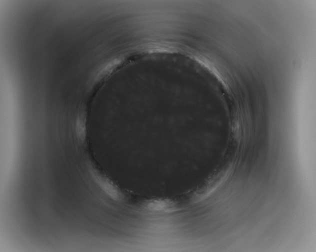 X0000114190402200910161209