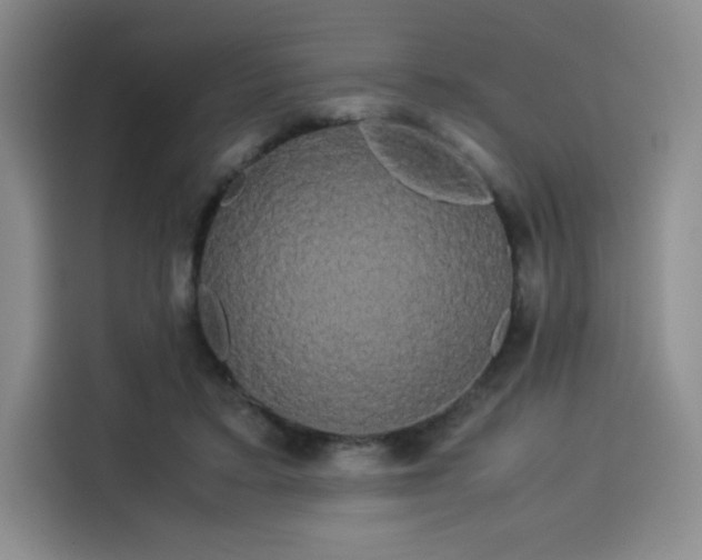 X0000114190403200910161209