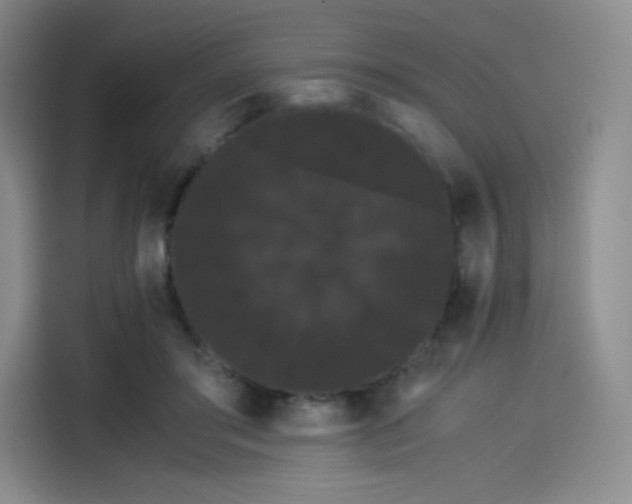 X0000114190405200910161209