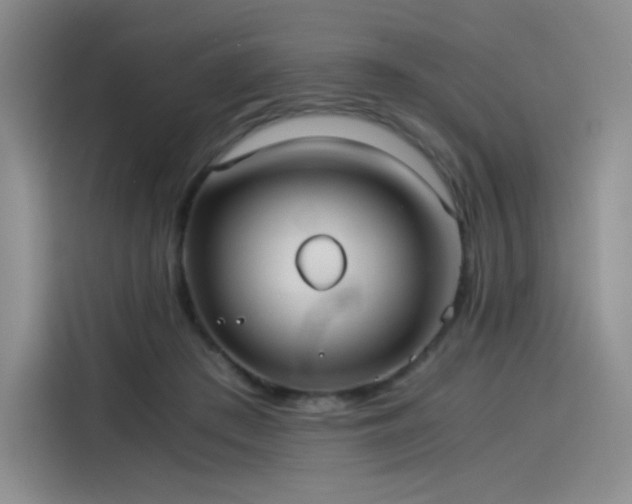 X0000114190409200910161209