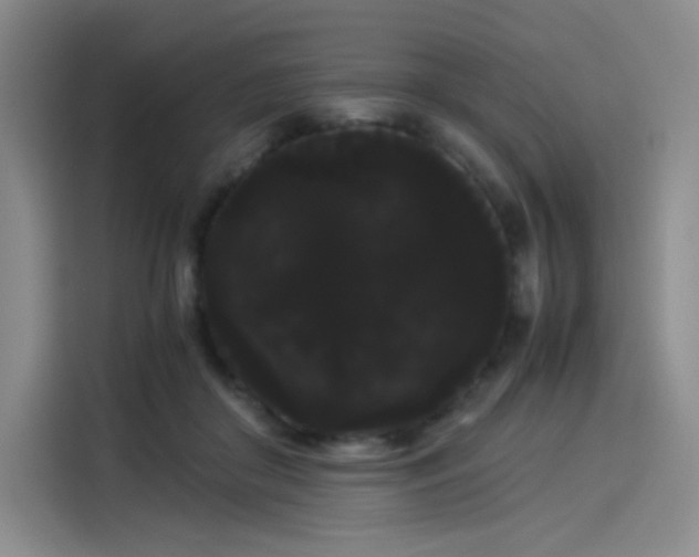 X0000114190410200910161209