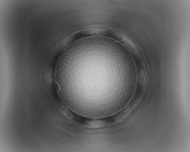 X0000114190413200910161209