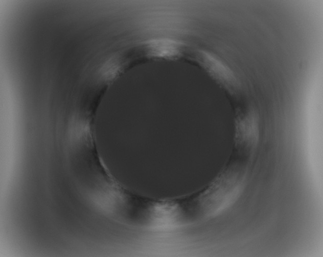 X0000114190415200910161209