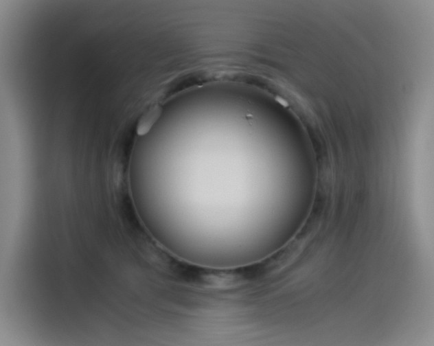 X0000114190417200910161209