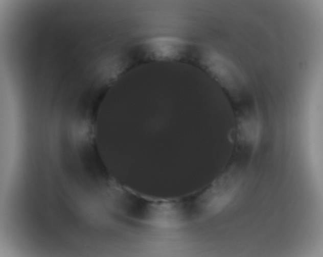 X0000114190419200910161208