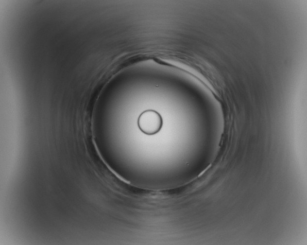 X0000114190421200910161208