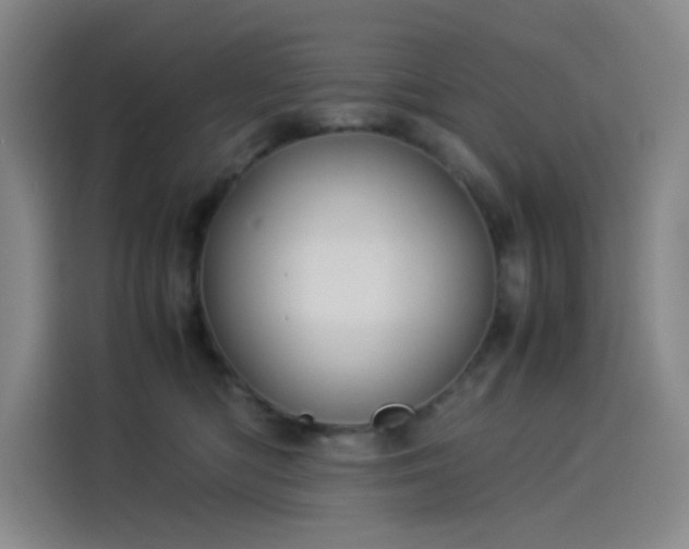 X0000114190422200910161208