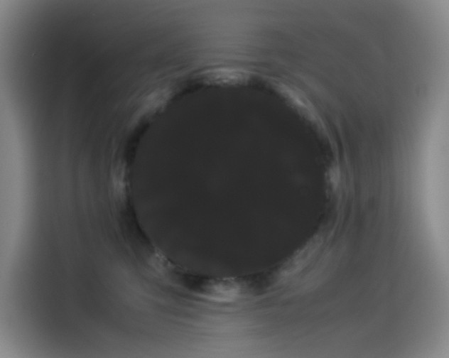 X0000114190423200910161208