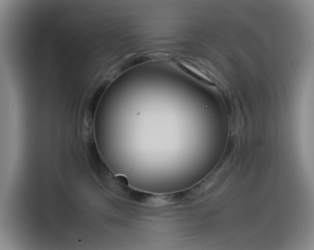 X0000114190425200910161208