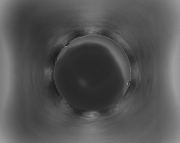 X0000114190427200910161208