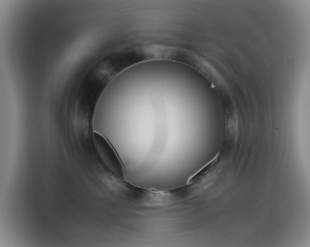 X0000114190429200910161208
