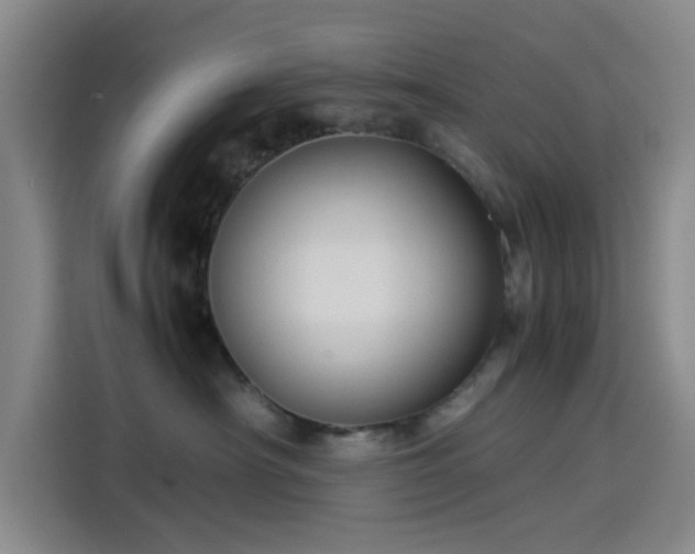 X0000114190430200910161208