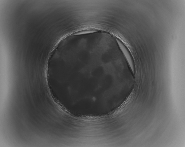 X0000114190434200910161208