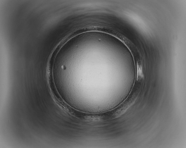 X0000114190435200910161208