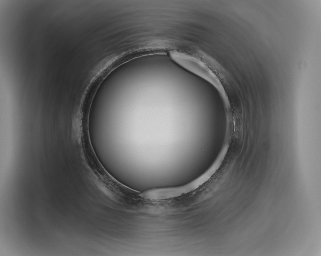 X0000114190436200910161208