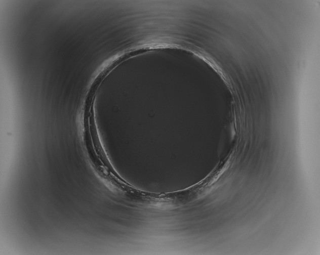 X0000114190438200910161208