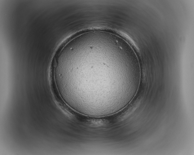 X0000114190439200910161208