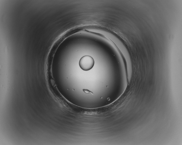 X0000114190440200910161208