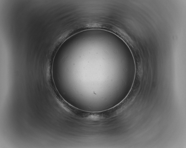 X0000114190441200910161208