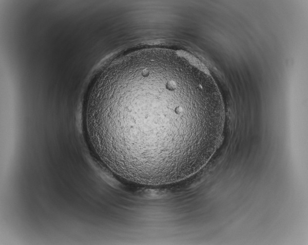 X0000114190442200910161208