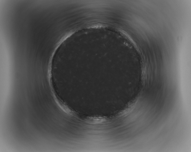 X0000114190443200910161208