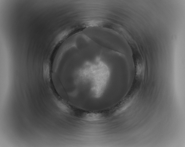 X0000114190444200910161208