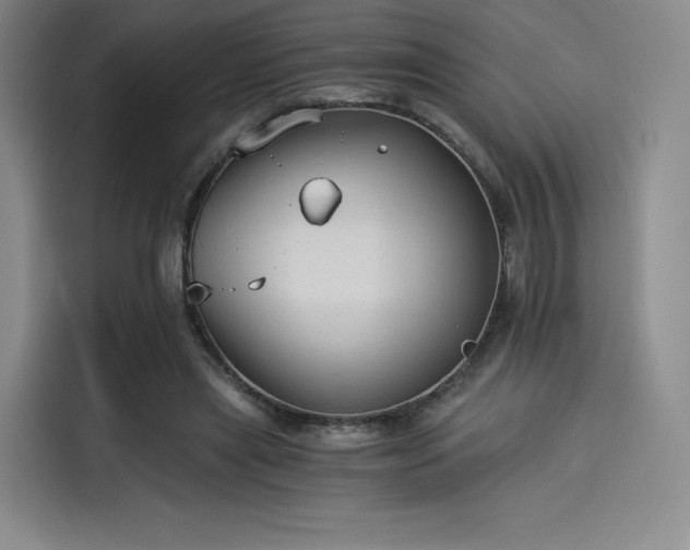 X0000114190445200910161208