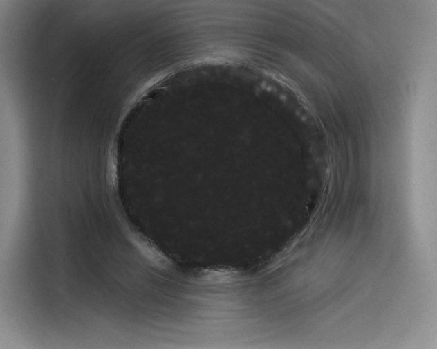 X0000114190446200910161208