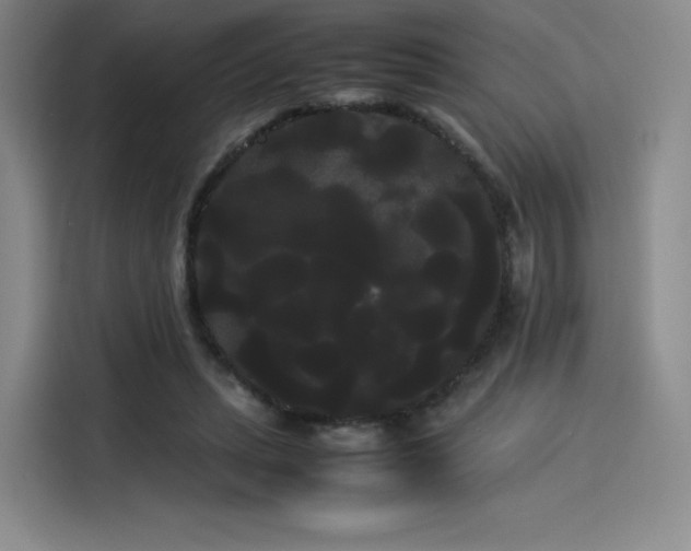 X0000114190447200910161208