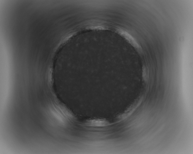 X0000114190449200910161208
