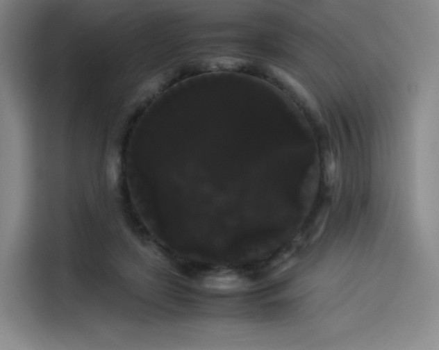 X0000114190451200910161208