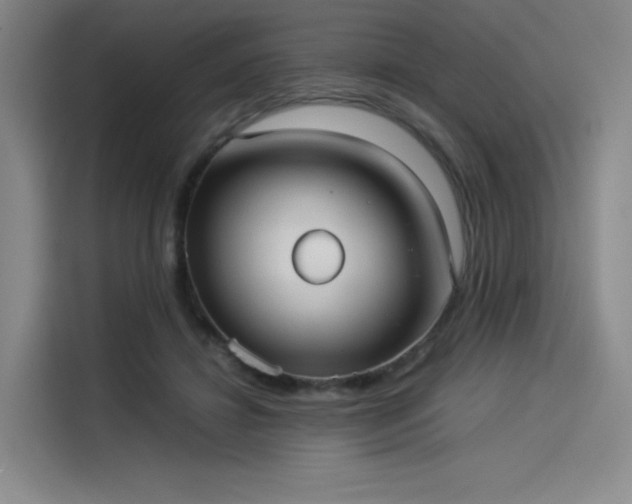 X0000114190452200910161208