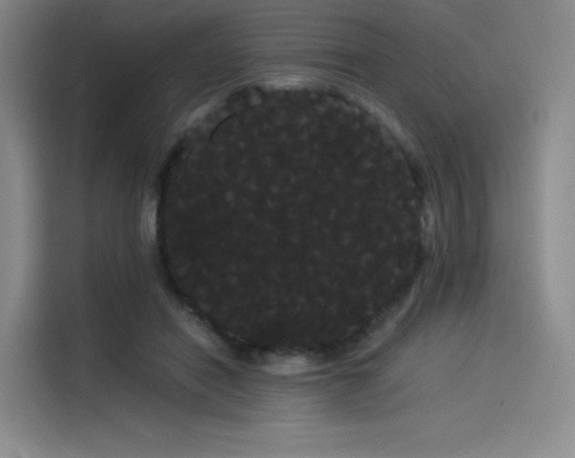 X0000114190454200910161208