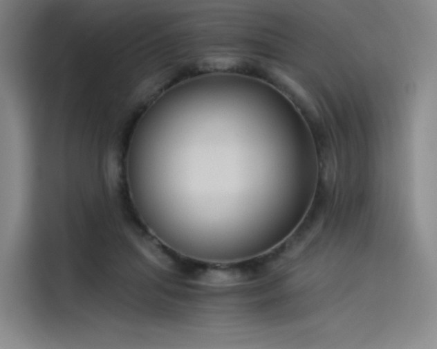 X0000114190455200910161208