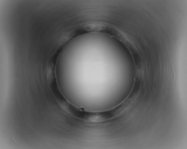 X0000114190460200910161208