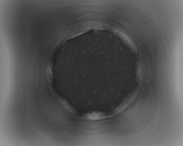 X0000114190461200910161208