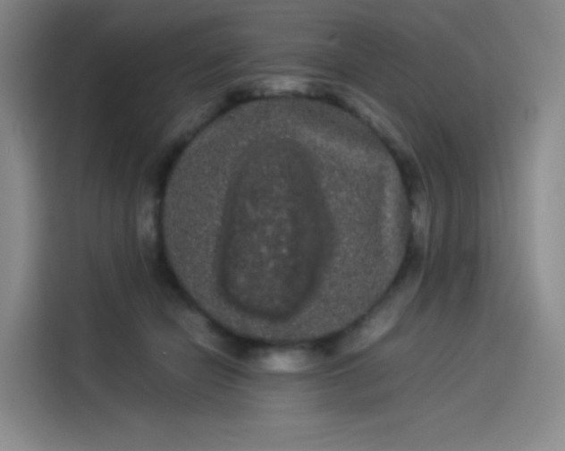X0000114190462200910161208
