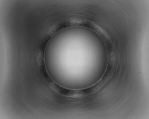 X0000114190463200910161208