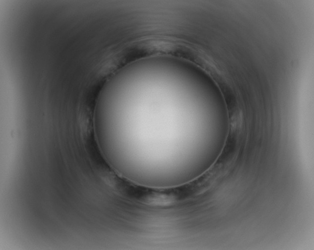 X0000114190464200910161208