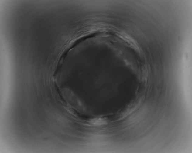 X0000114190465200910161208