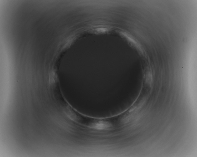 X0000114190467200910161208